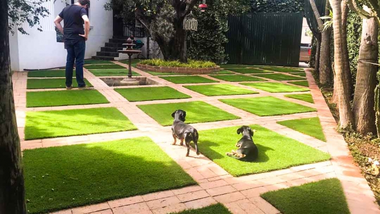 Garden Areas